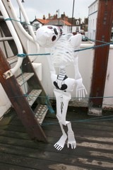 Raymond is a dead cert for replacing the ship's parrot, which has been recalimed by its original owner