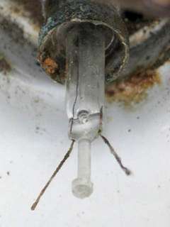 Broken Lamp Filament