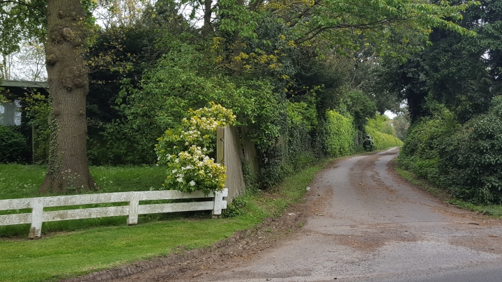 Clifton Hall entrance driveway
