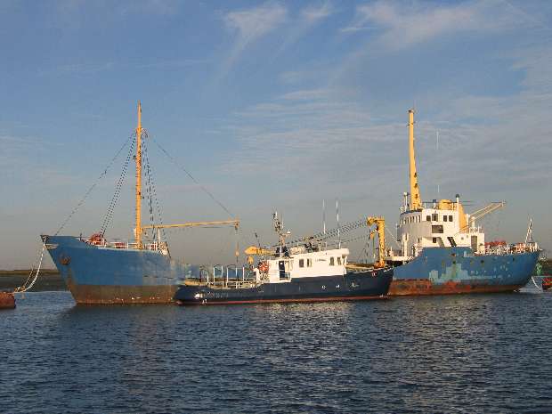 Saint David & The Torch